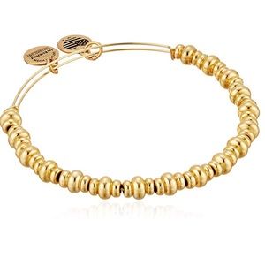 NWT Alex and Ani Nile Bead Bangle